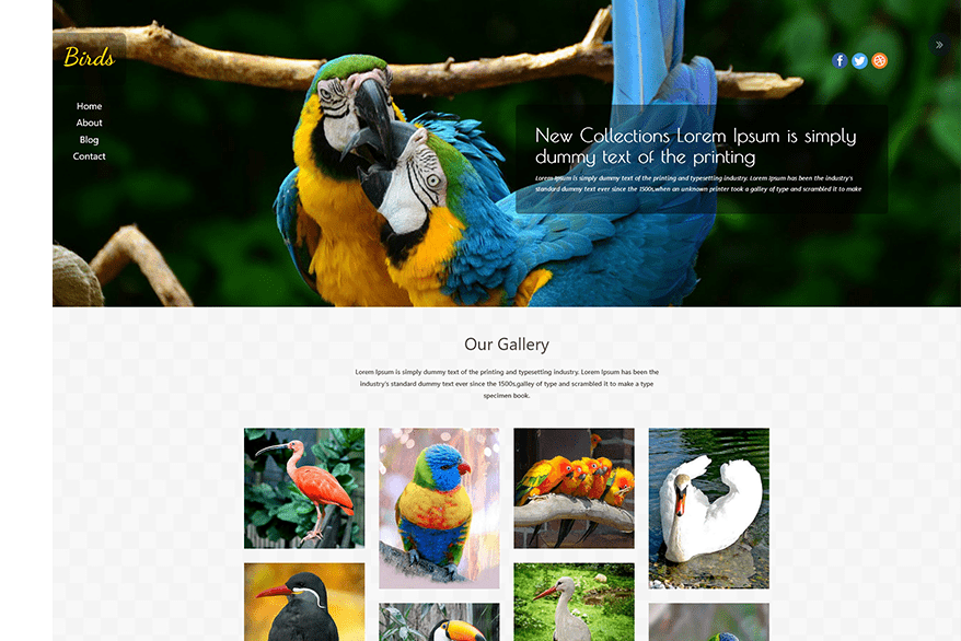 portfolio-img